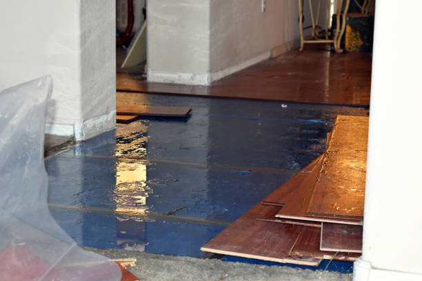 Professional Sewage Cleanup technician working in Mebane, NC